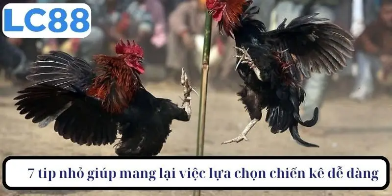 7 tip nhỏ giúp mang lại việc lựa chọn chiến kê dễ dàng 