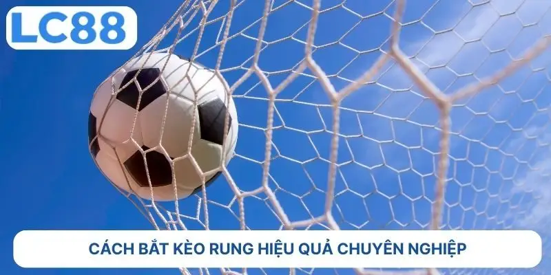 Cách bắt kèo rung hiệu quả chuyên nghiệp 